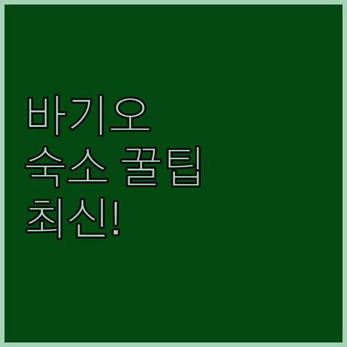바기오 대규모 가족 여행 숙소 가이드 프라이빗 하우스와 팔라딘 호텔 어떤 선택이 좋을까