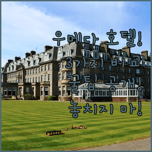 우메다 호텔 고르기 전에 꼭 봐야 할 3가지 숙소 비교 분석