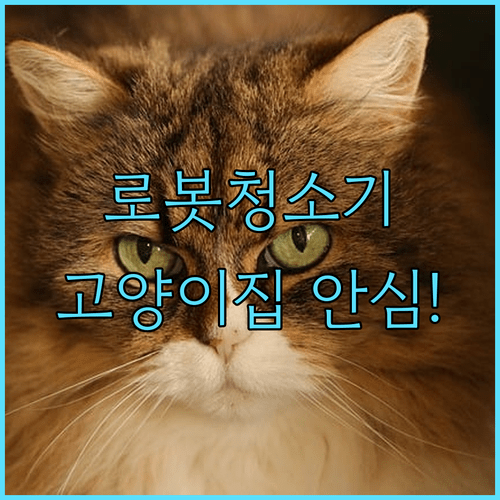로봇청소기 추천 고양이 키우는 집에서도 안심할 수 있는 비밀 기능은