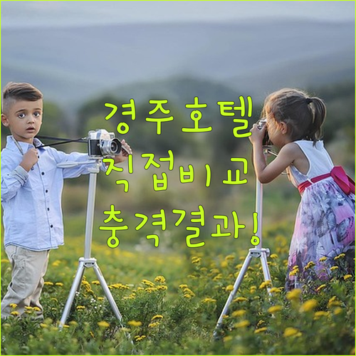 경주 호텔 직접 비교해봤더니 놀라운 결과가 나왔습니다