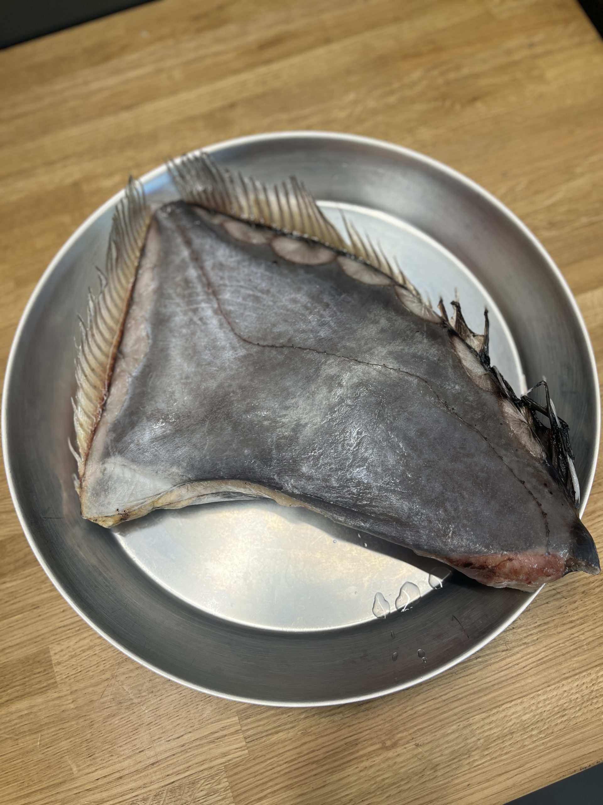 Sidabrinė saulažuvė, 500+, ~1 kg