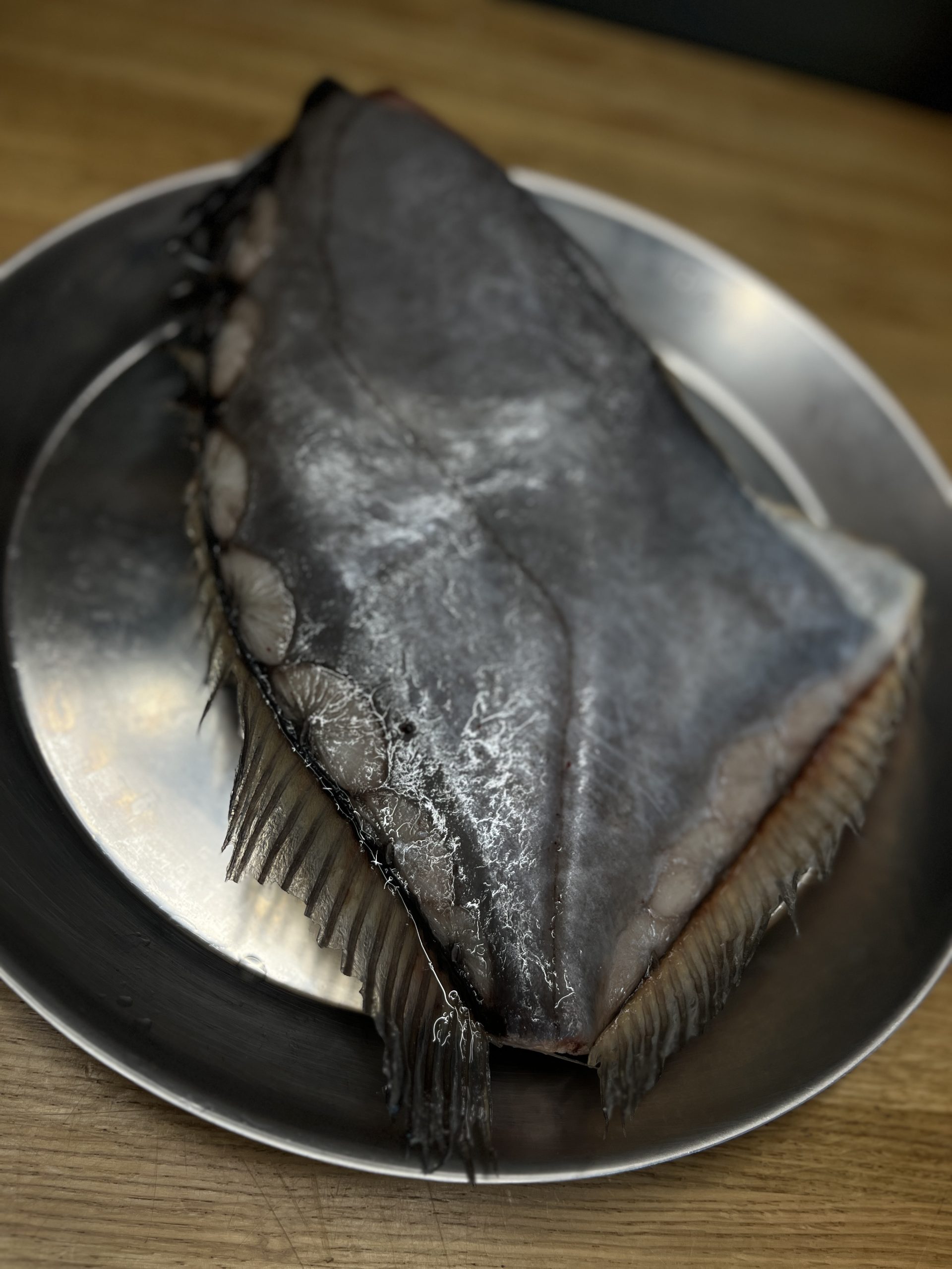 Sidabrinė saulažuvė, 500+, ~1 kg