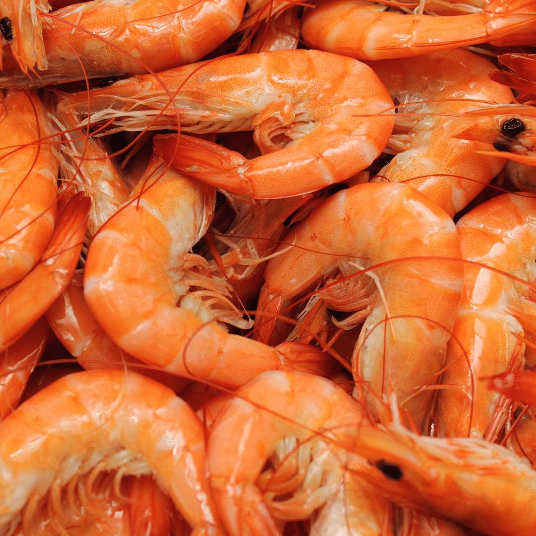 Šiaurinės dryžakojės krevetės, 80/100, virtos, 2 kg, šaldytos