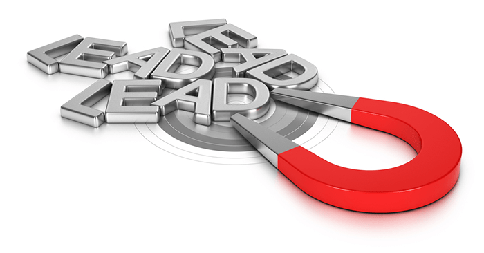 Strategi Pemasaran Email – Lead Magnet